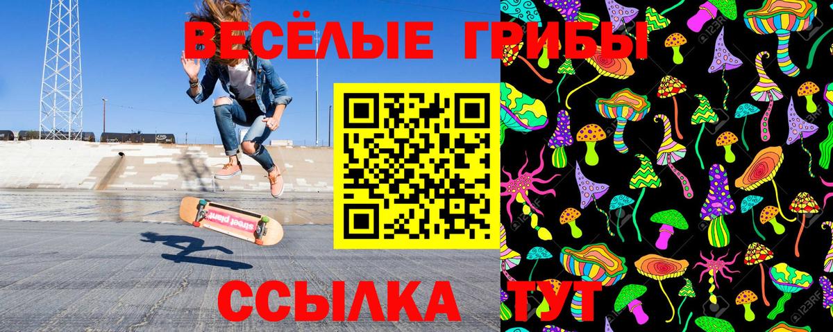 Кунгур  Псилоцибиновые грибы Psilocybine cubensis  Вход с VPN  Псилоцибиновые грибы Psilocybine cubensis 